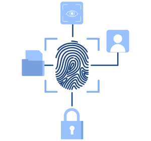 Biometric Authentication